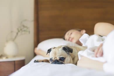 Hund og dame sover i brun seng