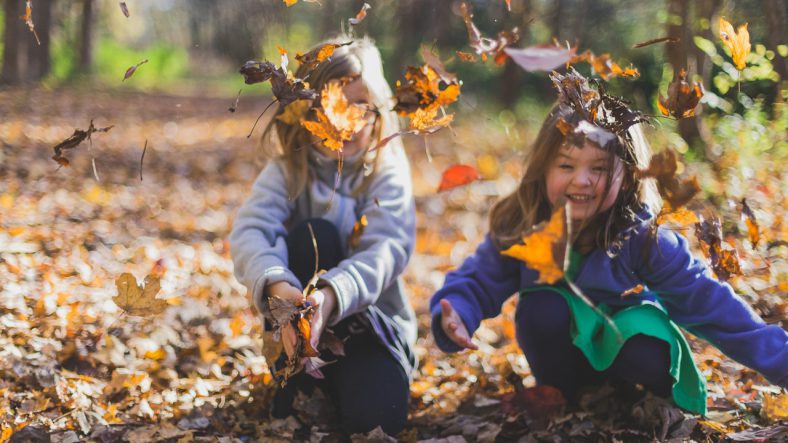 To børn leger med blade i skov